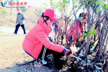 山区人口_全市人口和计划生育宣传教育工作现场会议在我区召开 -日照市岚山(3)